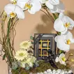 Elegant Blossom & Chocolate Gift Arrangement