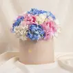 Hydrangea Harmony Flower Box