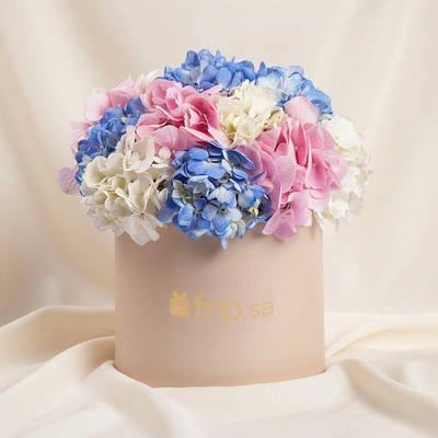 Hydrangea Harmony Flower Box