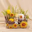Sunflower Delights Get Well Soon Basket