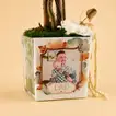 Vase Arrangement for Dad