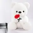 Gift Set: White Teddy Bear with Guess Seductive EDT for Men 100 ml