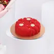 Exquisite Rose Bouquet & Delectable Red Velvet Cake Combo