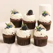 Summer Chocolate Cupcake Set