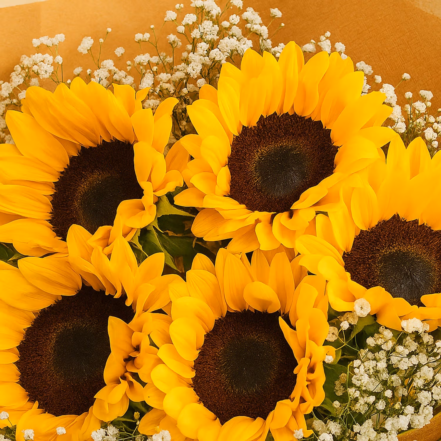 Radiant Sunflower & Gypsophila Hand Bouquet