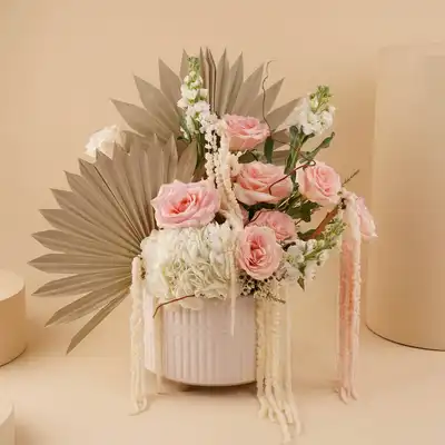سحر الباستيل الناعم