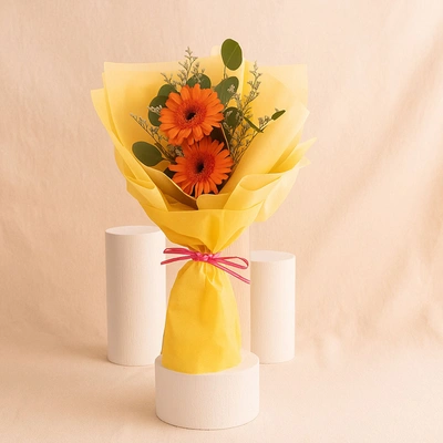 Cherry Red Gerbera Bouquet