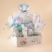 Premium Newborn Boy Hamper | Joy Cloud 