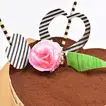 Delightful Tiramisu Heart Cake – Perfect for Celebrations