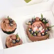Delightful Best Friend Bento & Cupcakes Chocolate Set