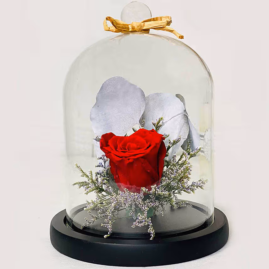 Single Red Forever Rose In Glass Dome for Valentines
