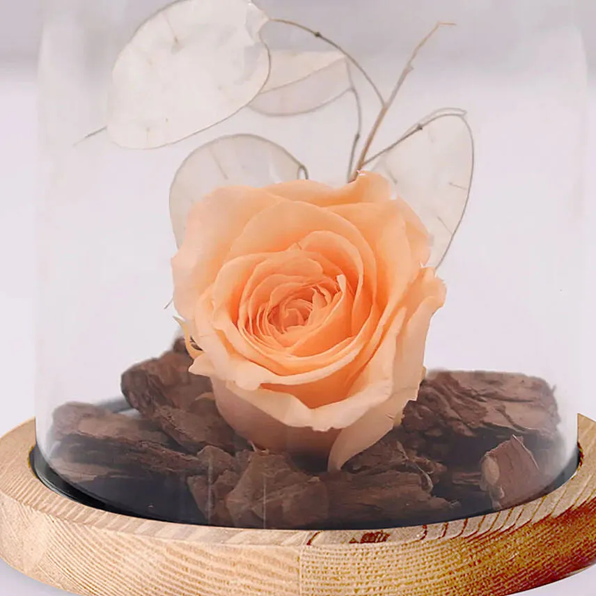Ferrero Rocher & Forever Rose In Glass Dome- Peach