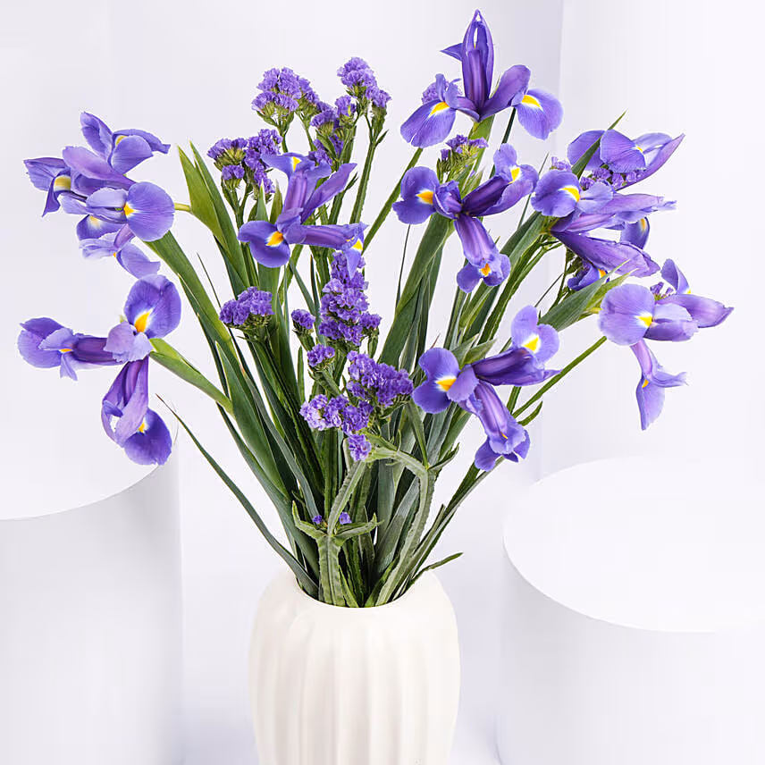 IRIS Flower Arrangement in Premium Vase
