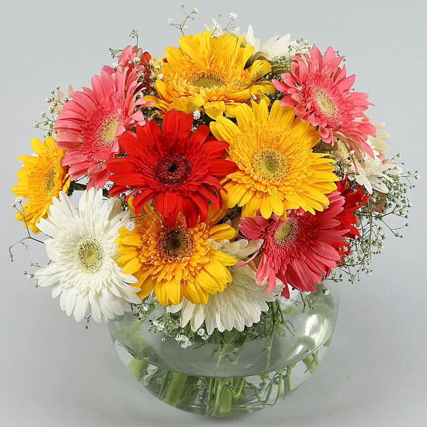 4 Classy Mix Of Gerbera Blossoms