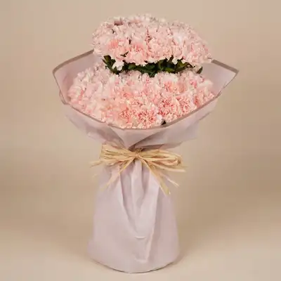 Elegant Bouquet of Tender Touch Carnations