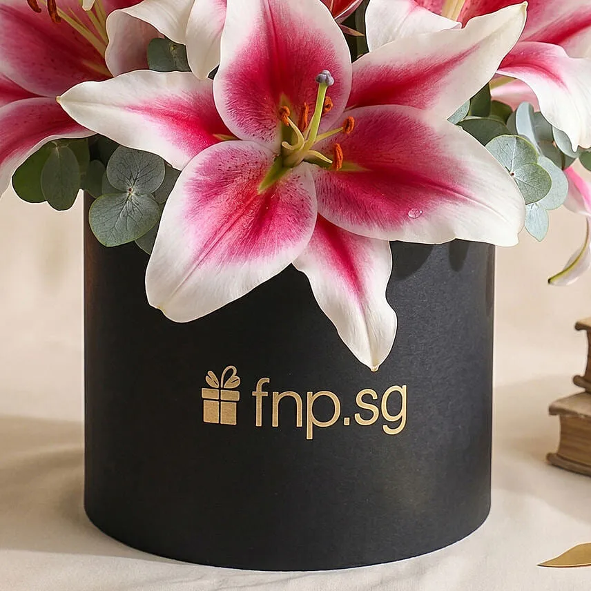 Pretty Pink Lilies