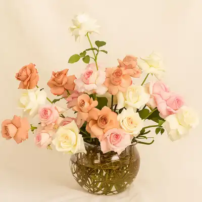 Roses in a Forest