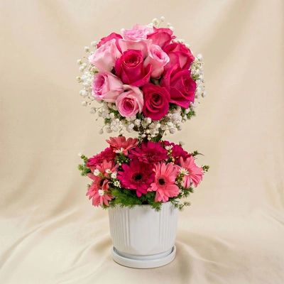 Mesmerised Pink Flowers