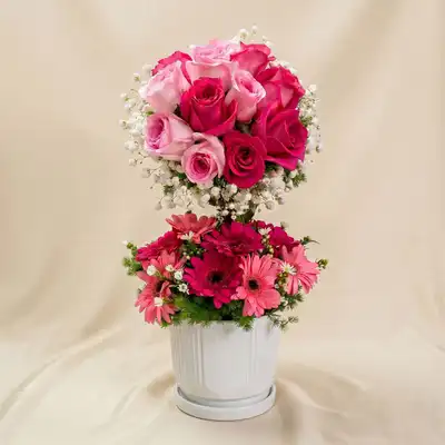 Mesmerised Pink Flowers