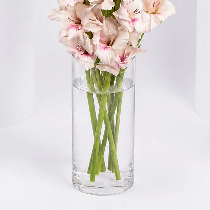 Pink Gladiolus In Premium Vase