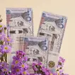 Purple Elegance Vase with Stylish Cash Arrangement