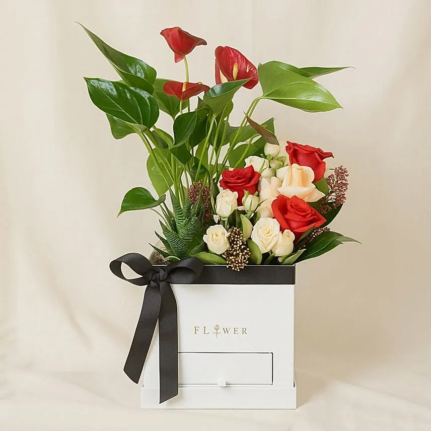 Flowers and Plants Box