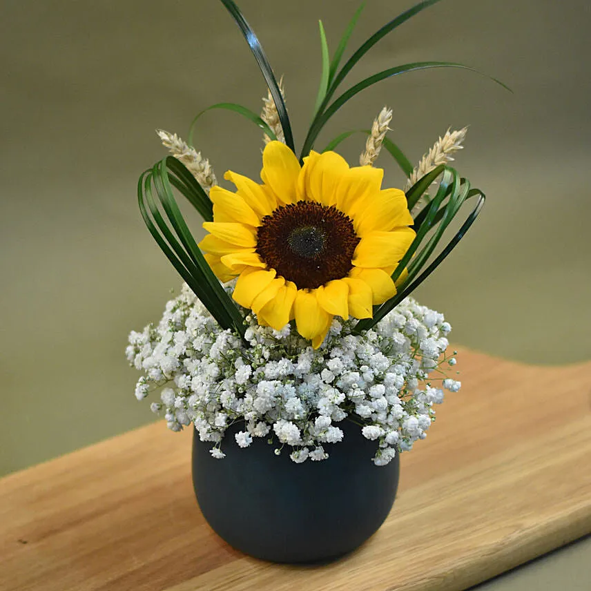 Sunflower & Baby Breath Designer Vase