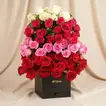 Valentine's Day Mixed Rose Symphony in Elegant Square Box