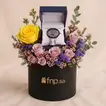 Titan Men's Watch Luna Sun Moon Phase n Flower Box