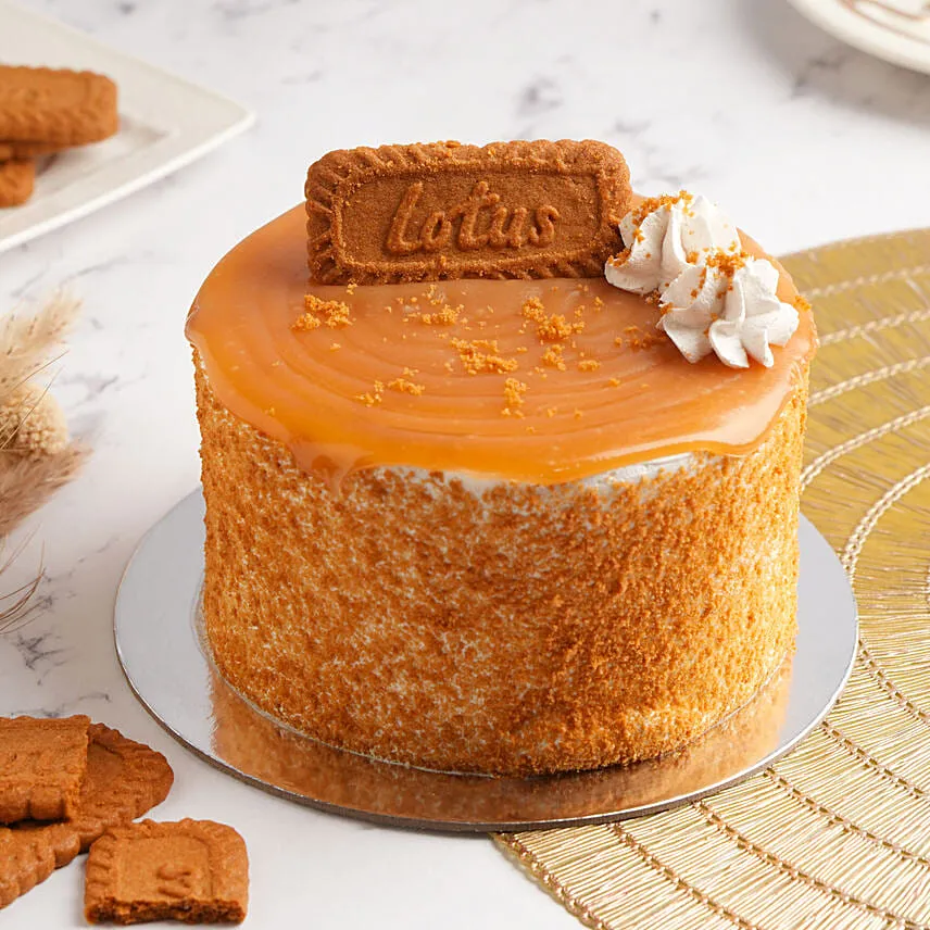 Lotus Ice Cream Cake 6 Portion
