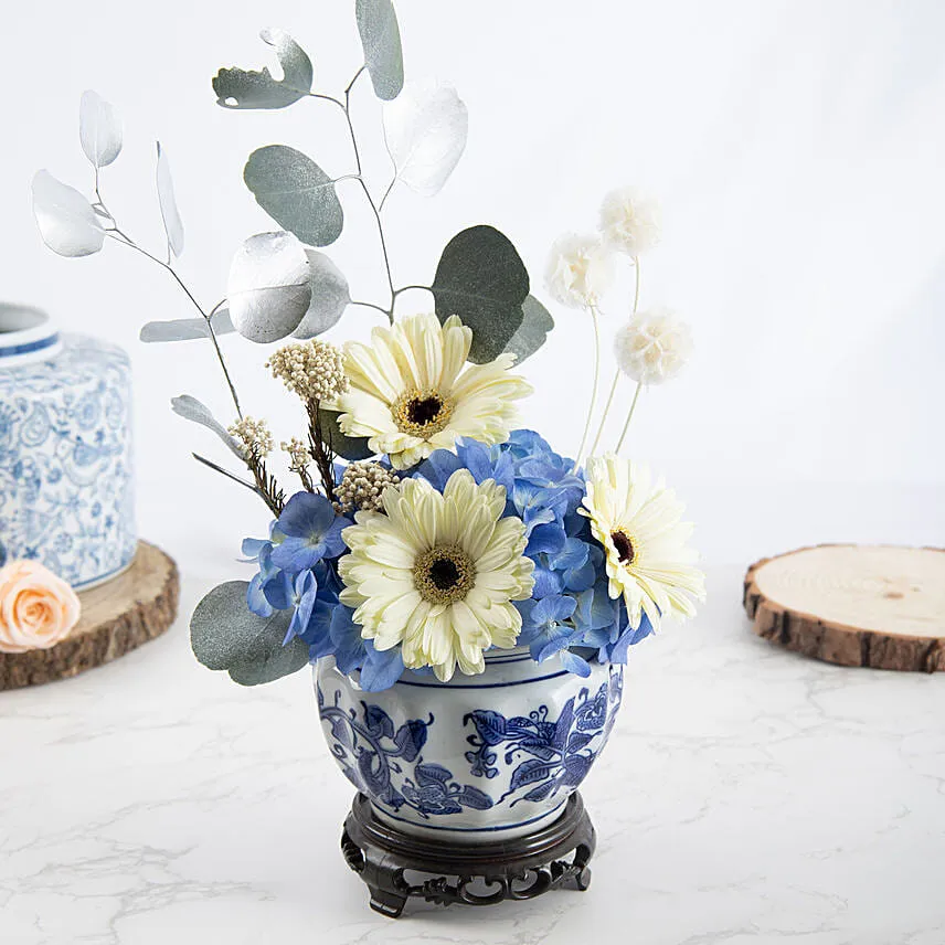 Cheerful White and Blue Flower with Cupcakes
