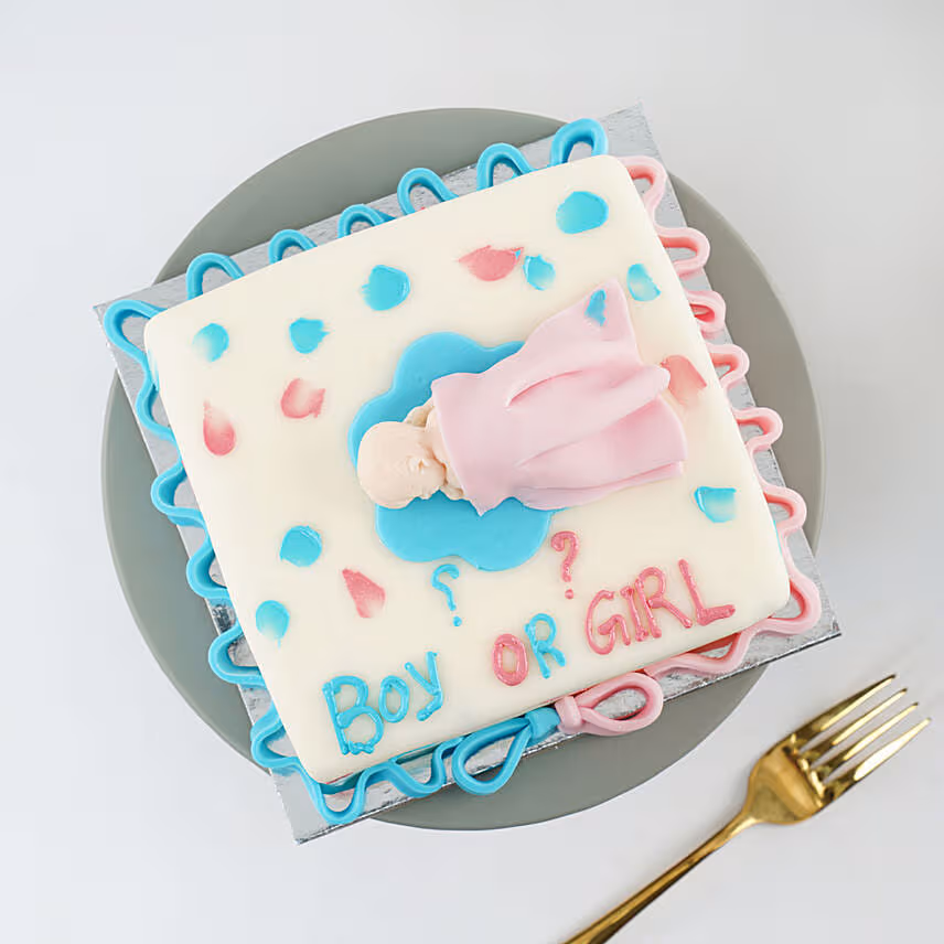 Gender Reveal Celebration Cake