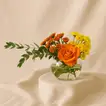 مزهرية ورد خلابة مع شوكولاته بستاني