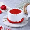 Delicious Red Velvet Bento Cake - Perfect for Two