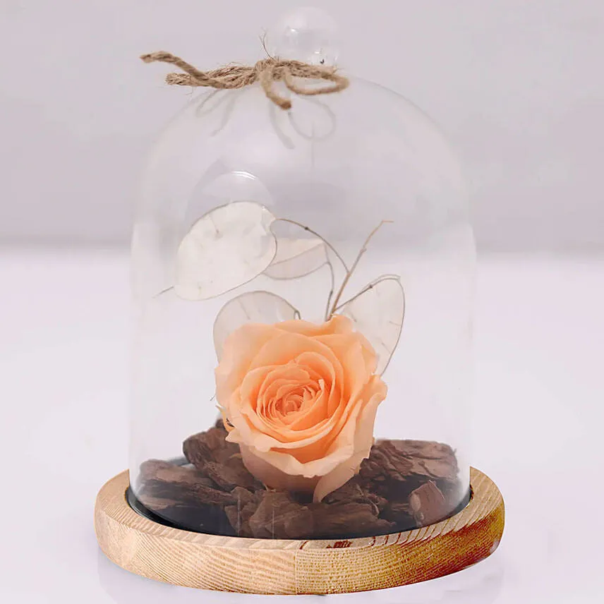 Ferrero Rocher & Forever Rose In Glass Dome- Peach