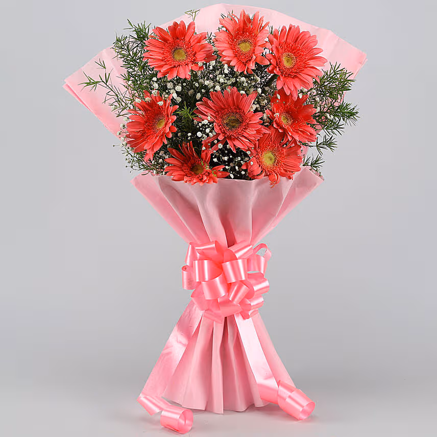 8 Pink Marvel Gerbera Blossoms