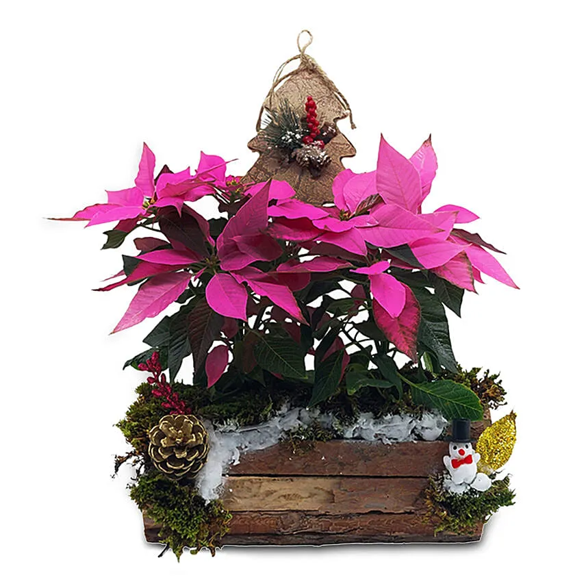 Pinkish Christmas