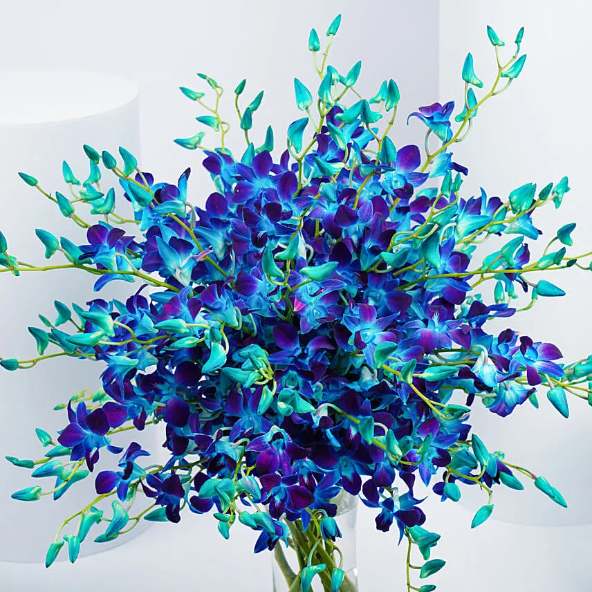 Blue and Purple Orchids Arrangement