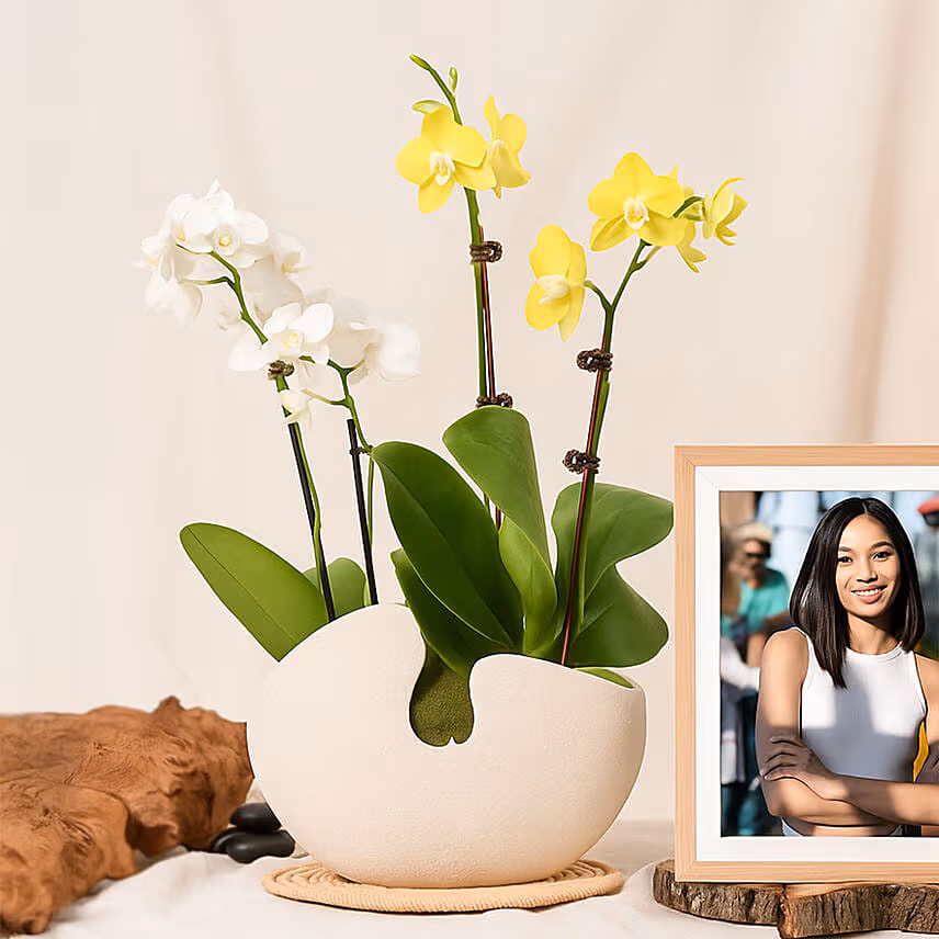 Mini Orchids with Photo Frame