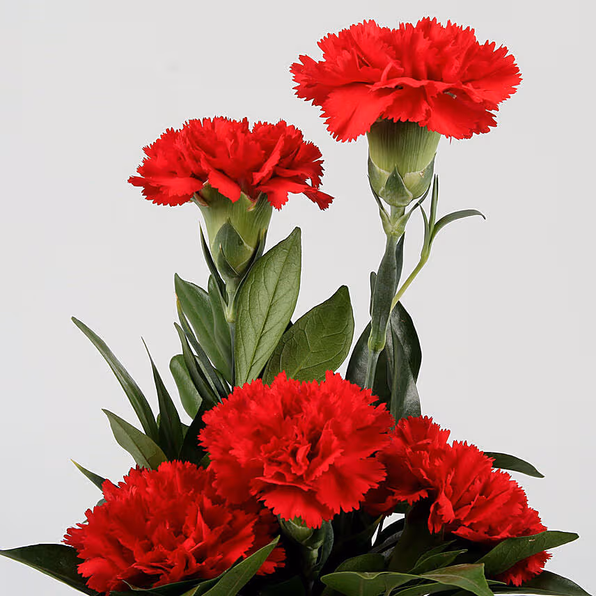 Red Carnations Bunch In Black Personalised Mug