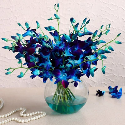 Beautiful Orchids Glass Vase Arrangement