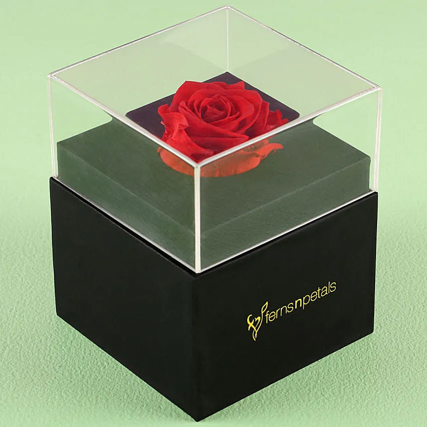 Forever Red Rose Box With I Love You Table Top For Valentines