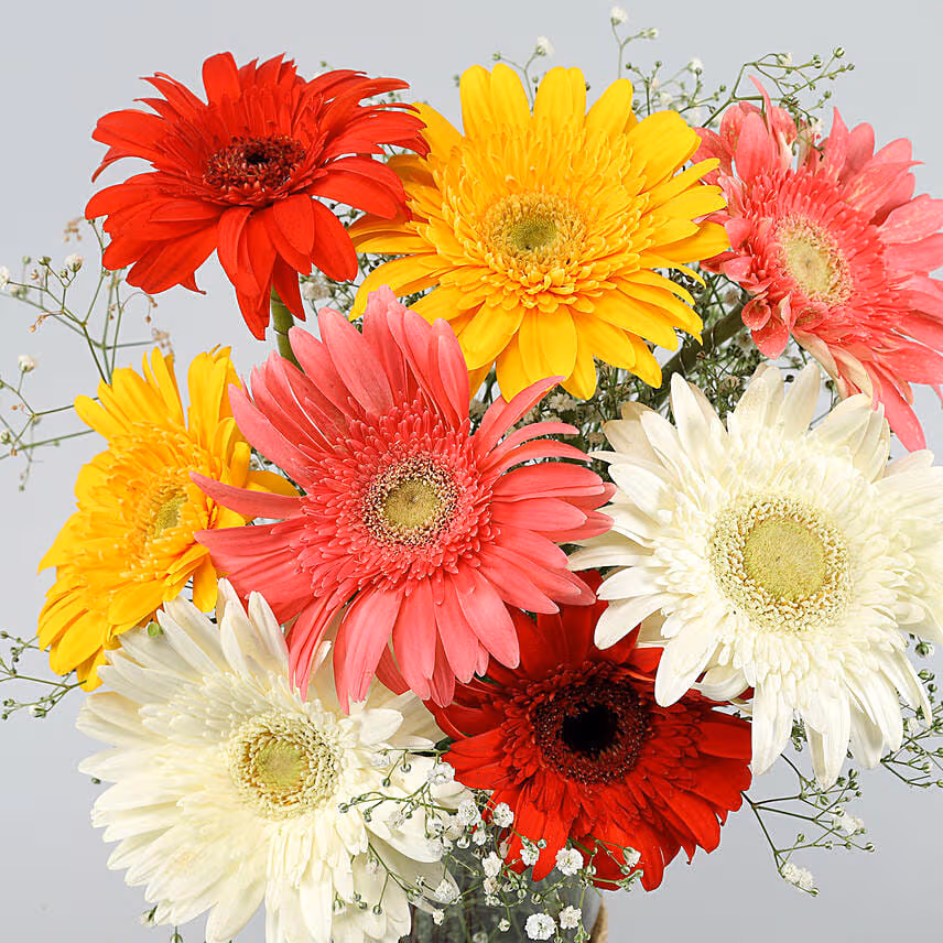 Blooming Mixed Gerbera Vase Arrangement