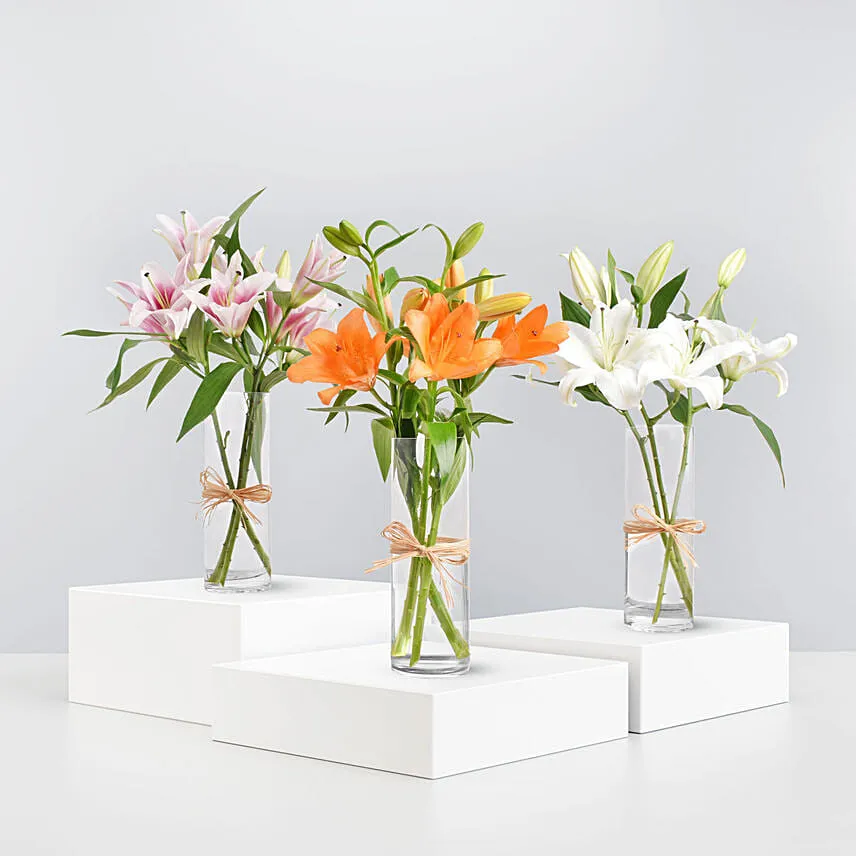 Lilies Beauty Trio Vase