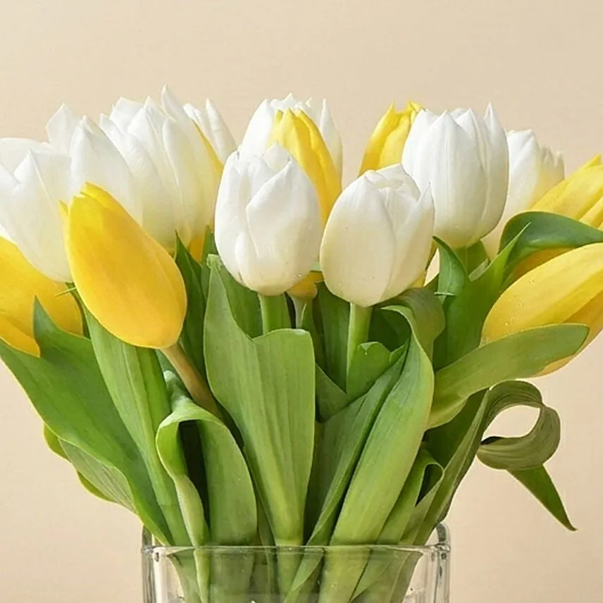 20 Tulips In Vase