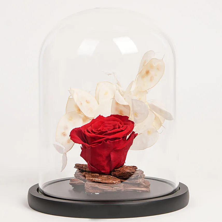 Forever Red Rose in Glass Dome