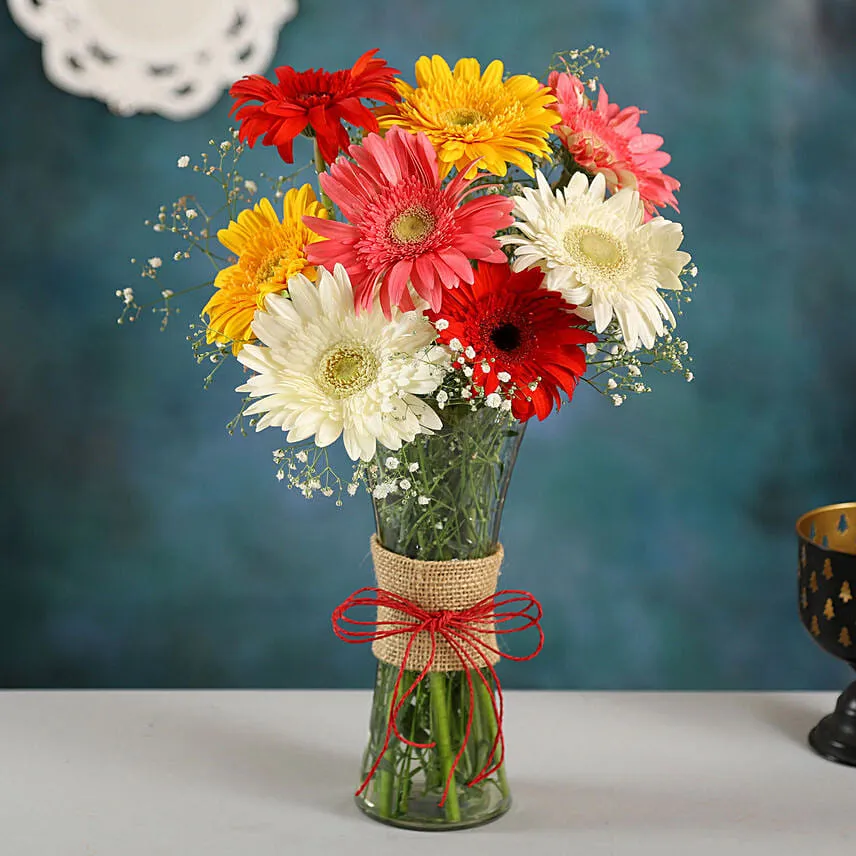 Mixed Brilliance Gerbera Vase with Mini Mousse Cake