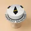 Pilot Graduation Celebration Vanilla Cake