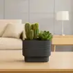 Elegant Modern Minimalist Cactus & Succulent Planter