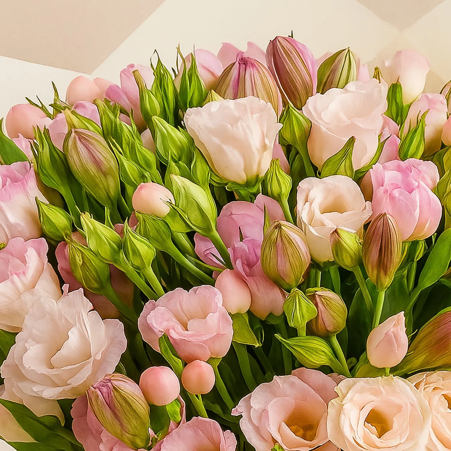 باقة ورد لحن البيبي روز